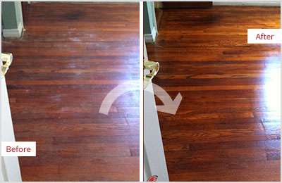Sir Grout Denver Deep Wood Cleaning